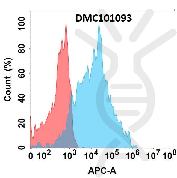 Anti-CD147 antibody(2D2), IgG1 Chimeric mAb