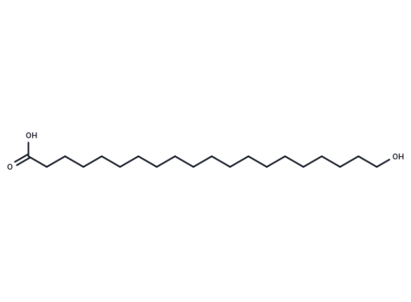 20-hydroxy Arachidic Acid