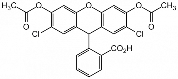 2&#039;,7&#039;-Dichlorofluorescein diacetate