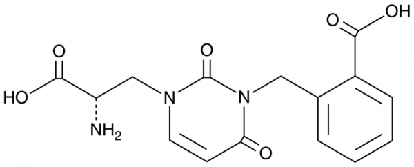 UBP 302