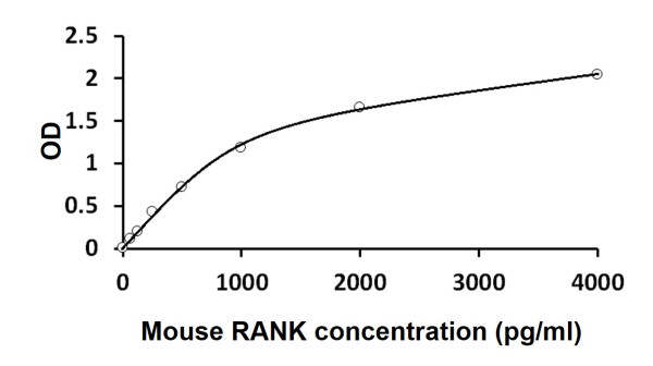 Mouse RANK ELISA Kit