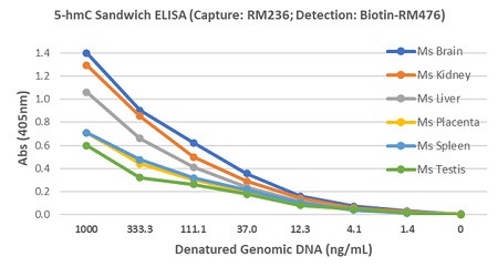 5-Hydroxymethylcytosine (5-hmC) DNA Matched Antibody Pair