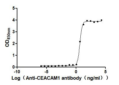 Anti-CEACAM1, recombinant clone 7F8