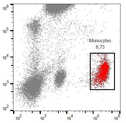 Anti-CD53, clone MEM-53 (PE)