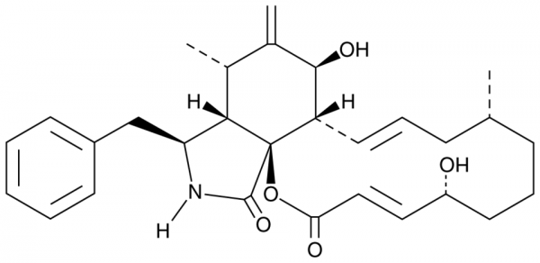 Cytochalasin B