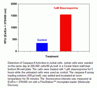 Cell Meter(TM) Caspase 8 Activity Apoptosis Assay Kit *Blue Fluorescence*