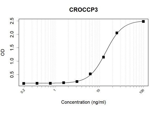 Anti-Human CROCCP3 Antibody Pair