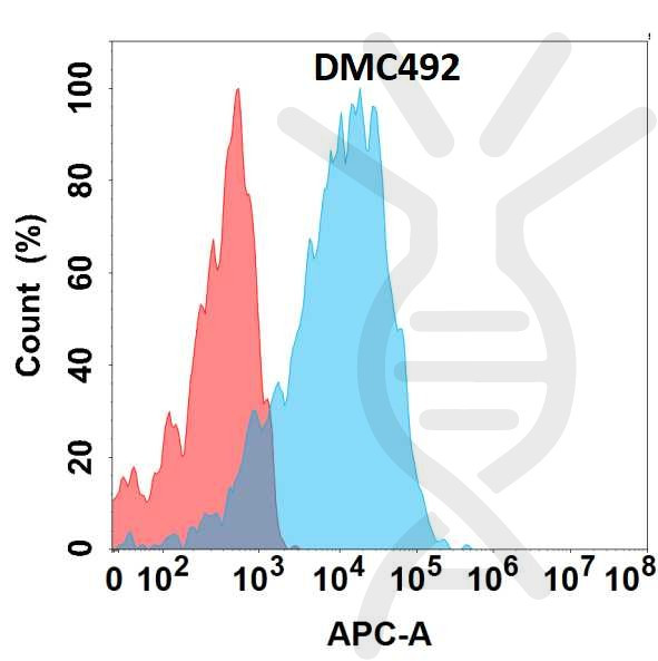 Anti-GPR75 antibody(DMC492), IgG1 Chimeric mAb