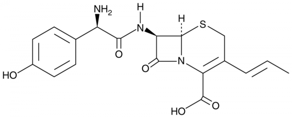 Cefprozil