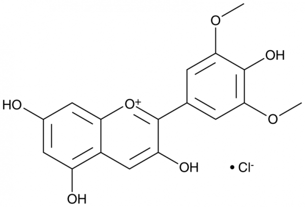 Malvidin (chloride)