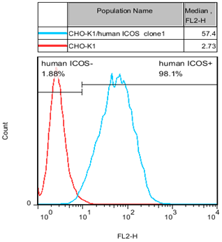 CHO-K1/ICOS Stable Cell Line