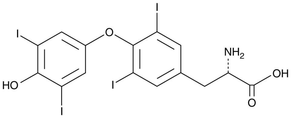 L-Thyroxine | CAS 51-48-9 | Cayman Chemical | Biomol.com