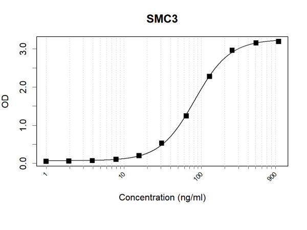 Anti-Human SMC3 Antibody Pair