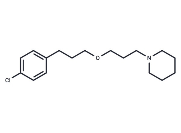 Pitolisant