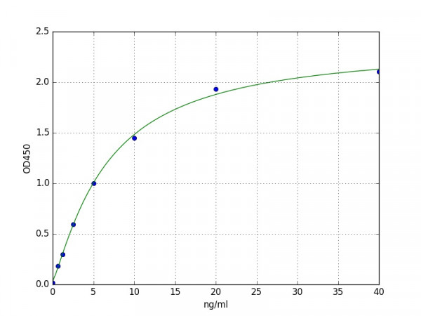 Mouse Synaptophysin ELISA Kit