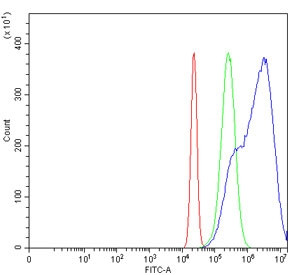 Anti-Growth arrest-specific protein 1 / GAS1