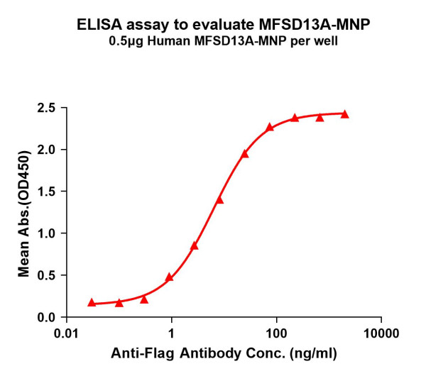 MFSD13A (human) full length protein-MNP