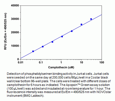 Cell Meter(TM) Phosphatidylserine Apoptosis Assay Kit *Green Fluorescence*