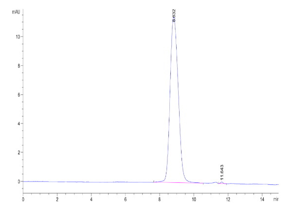 Mouse TPBG/5T4 Protein