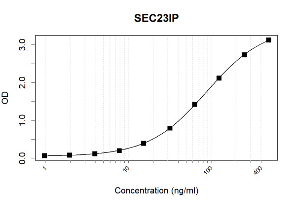 Anti-Human SEC23IP Antibody Pair