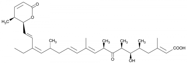 Leptomycin B