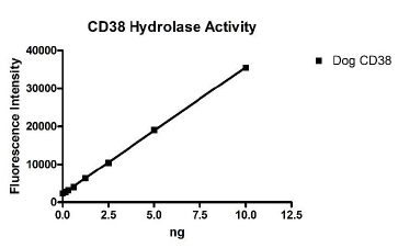 CD38 (Dog) Inhibitor Screening Assay Kit (Hydrolase Activity)