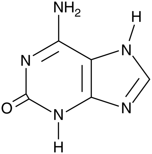Isoguanine