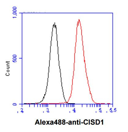Anti-CISD1 / mitoNEET, clone 1A8