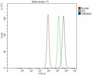 Anti-TMEM201 / Transmembrane protein 201