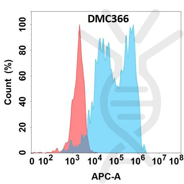 Anti-CFB antibody(DMC366), IgG1 Chimeric mAb
