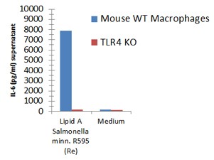 Lipid A from S. minnesota R595 (Re) TLRpure Sterile Solution