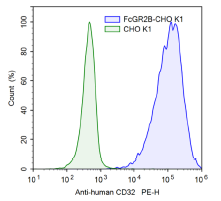 FcGR2B - CHO K1 Recombinant Cell Line