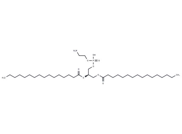 1,2-Dipalmitoyl-sn-glycero-3-phosphoethanolamine