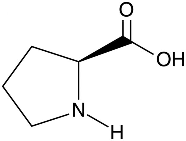 L-Proline