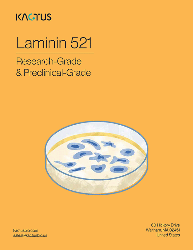 KACTUS Human Laminin 521 Protein