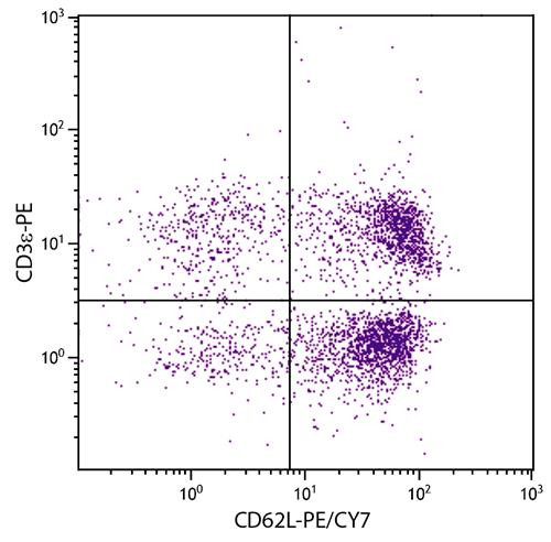 Anti-CD62L (PE-Cy7), clone MEL-14