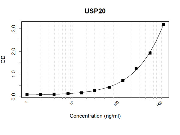 Anti-Human USP20 Antibody Pair