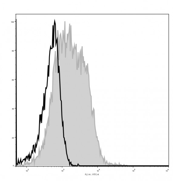 Anti-CD28 (mouse), clone 37.51, GenieFluor 488-conjugated