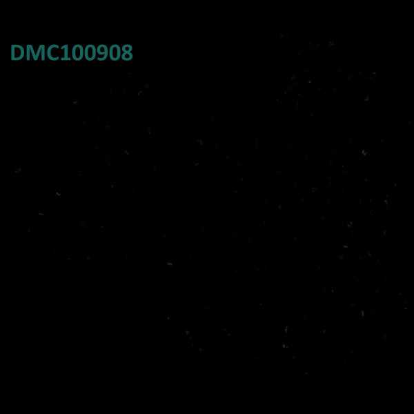 Anti-GPC3 antibody(163D11), IgG1 Chimeric mAb