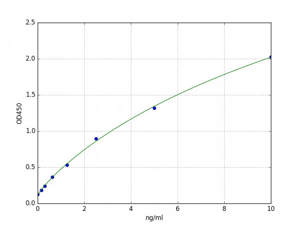 Mouse Rar gamma / Retinoic acid receptor gamma ELISA Kit