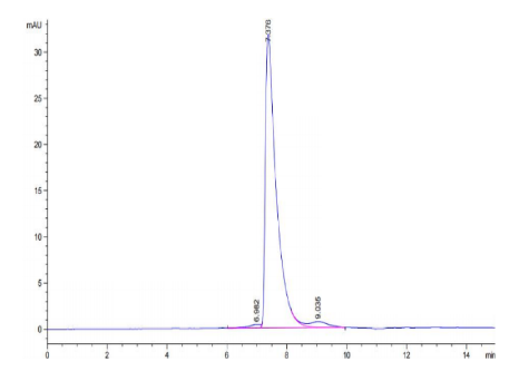 CD229/SLAMF3[Biotin], His &amp; Avi, Human