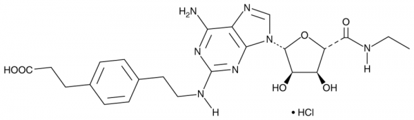 CGS 21680 (hydrochloride)