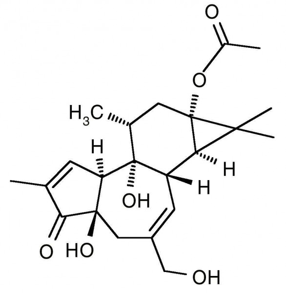 Prostratin (12-Deoxyphorbol 13-Acetate)