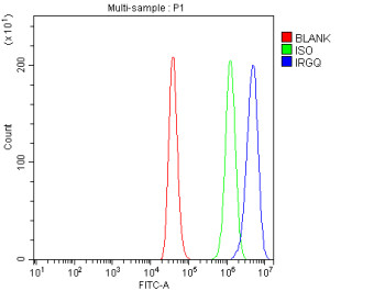 Anti-IRGQ / Immunity-related GTPase family Q protein