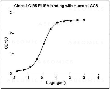 Anti-LAG3 (human) (Clone: LG.B5)