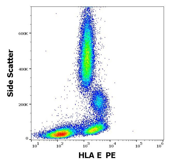 Anti-HLA E (PE), clone 3D12