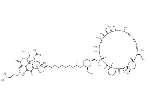Wortmannin-Rapamycin Conjugate
