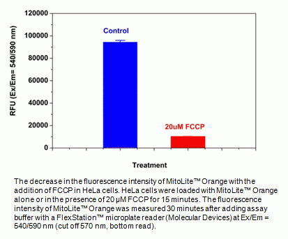 Cell Meter(TM) Mitochondrial Membrane Potential Assay Kit *Orange Fluorescence Optimized for Micropl