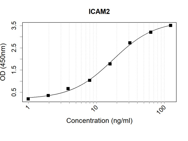 Anti-Human ICAM2 Antibody Pair