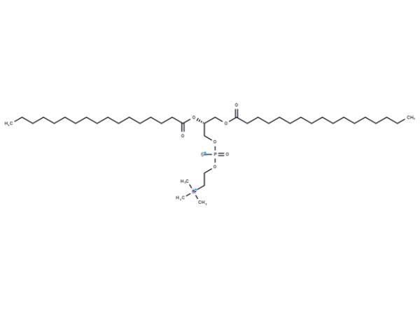 1,2-Diheptadecanoyl-sn-glycero-3-phosphorylcholine